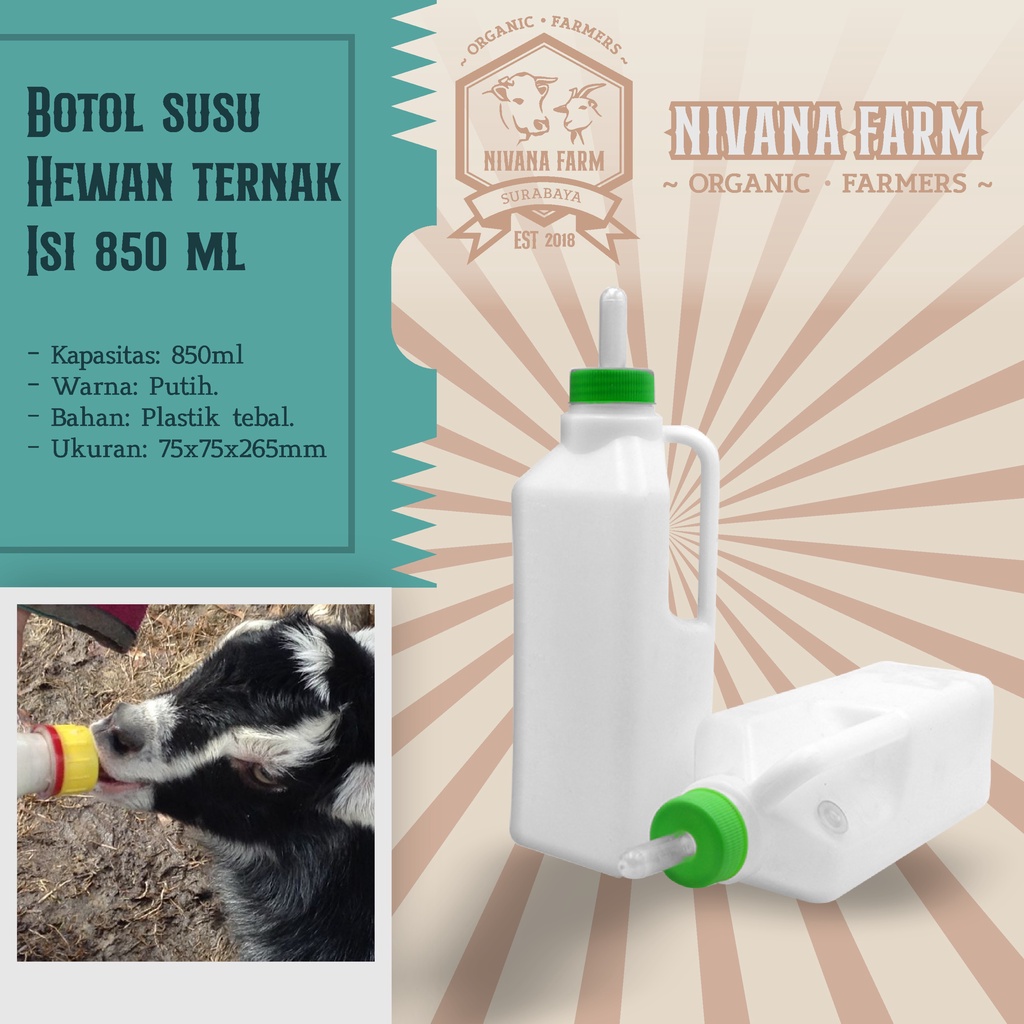 Botol Dot Susu Hewan Ternak Kambing Cempe Anjing Babi 850 ML