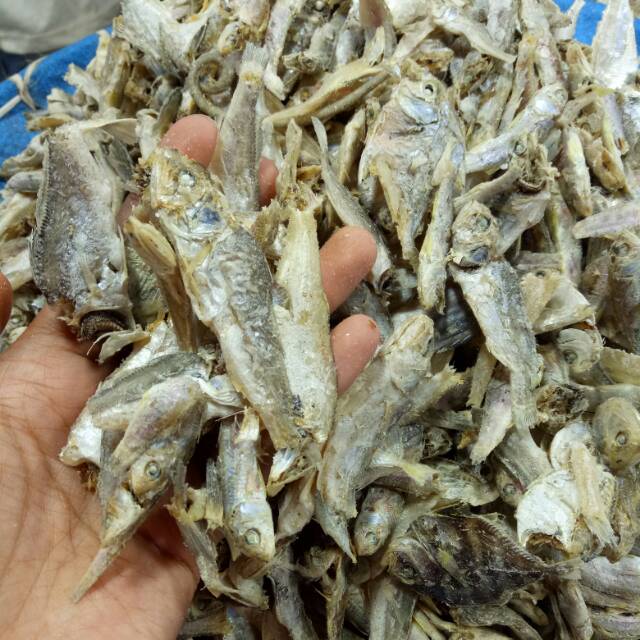 

Ikan Campur