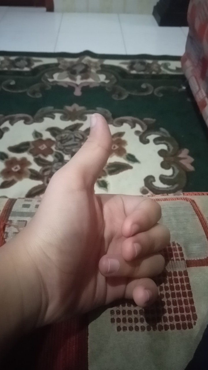 Polybag Ecer 10x10 15x15 20x20 25x25 30x30 40x40 18x18 Polibag Polibek