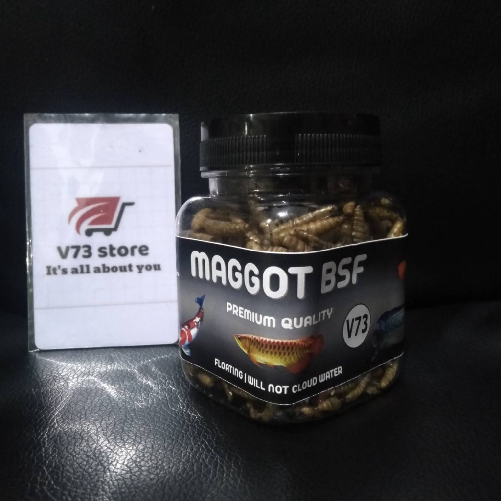 MAGGOT PREMIUM 35 GR MAGGOT PAKAN IKAN