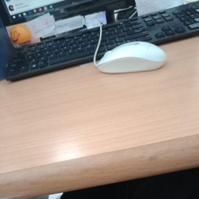 Pengharum Ruangan Aromaterapi - Aroma Terapi - Essential Oil Untuk Diffuser - Peppermint