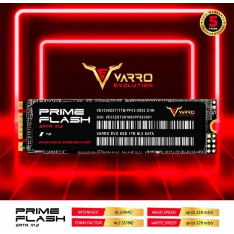 SSD M2 SATA 1TB VARRO