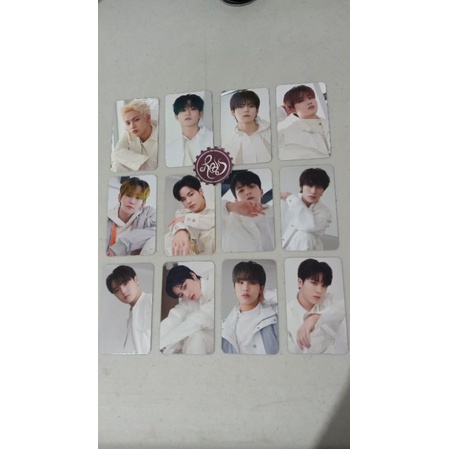 [READY] Treasure Appmus pob Treasure The Second Step