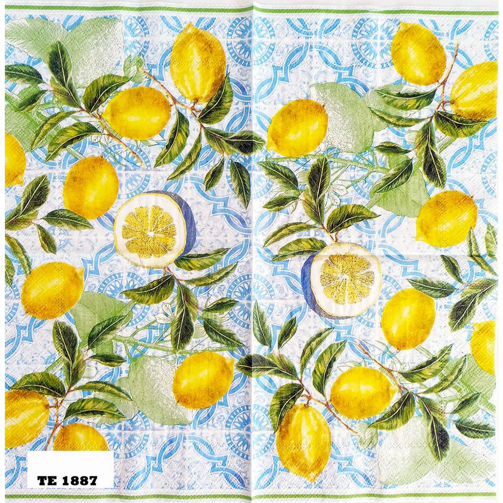 TISU NAPKIN DECOUPAGE EROPAH 33X33 CM TE  1887  TTS