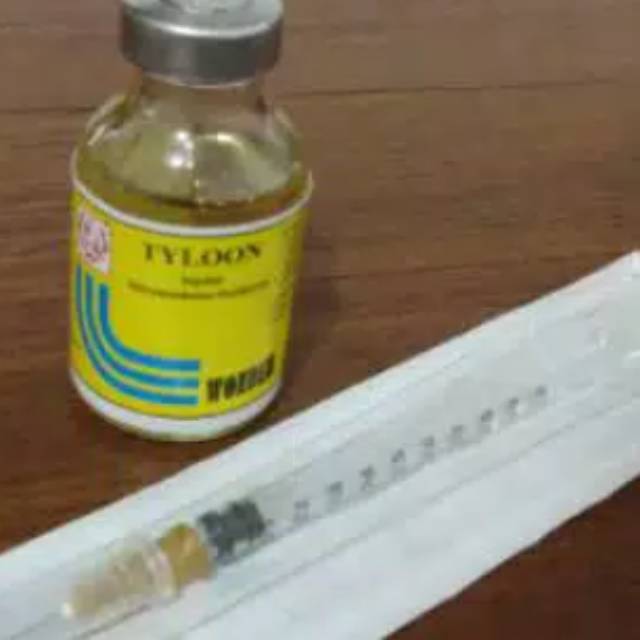 TYLOON injeksi + SUNTIKAN