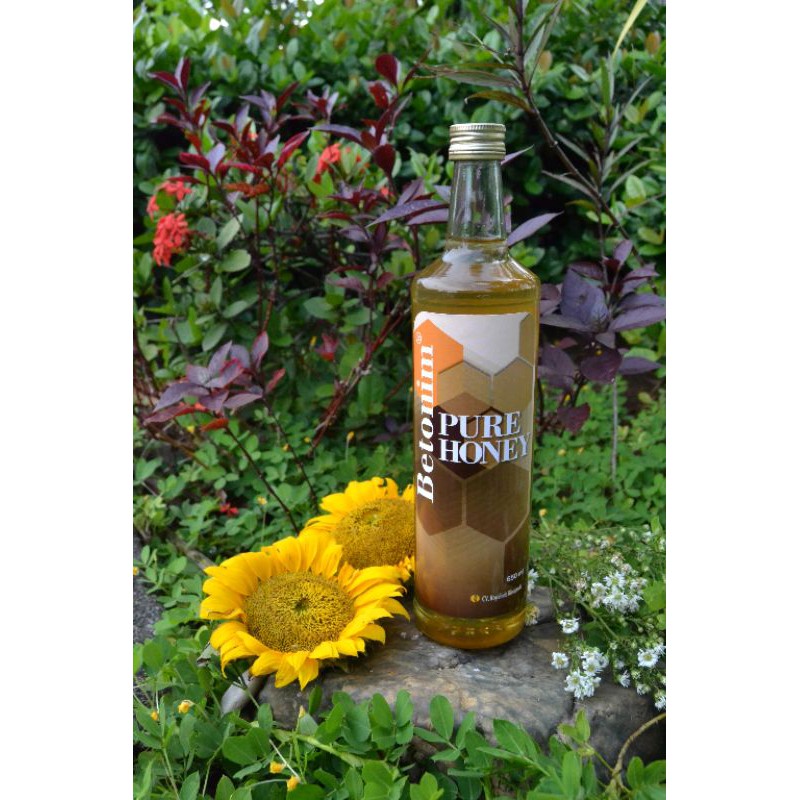 

Betonim Pure Honey