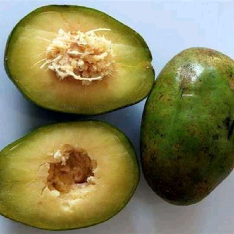 

Buah Kedondong Super manis dan segar