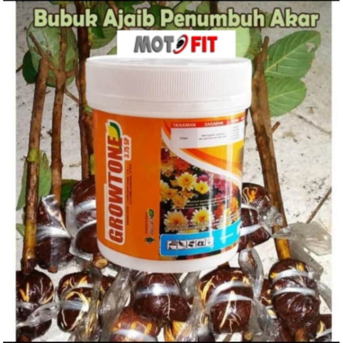 BAROKAH GAMIS MAGIC ROOT Faster Grow Plant Bubuk Ajaib Penumbuh Akar Tanaman