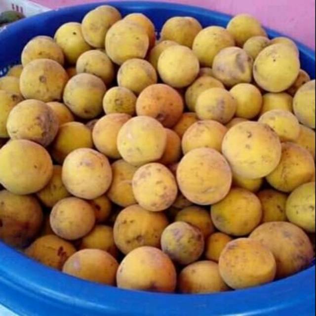 

Buah kecapii