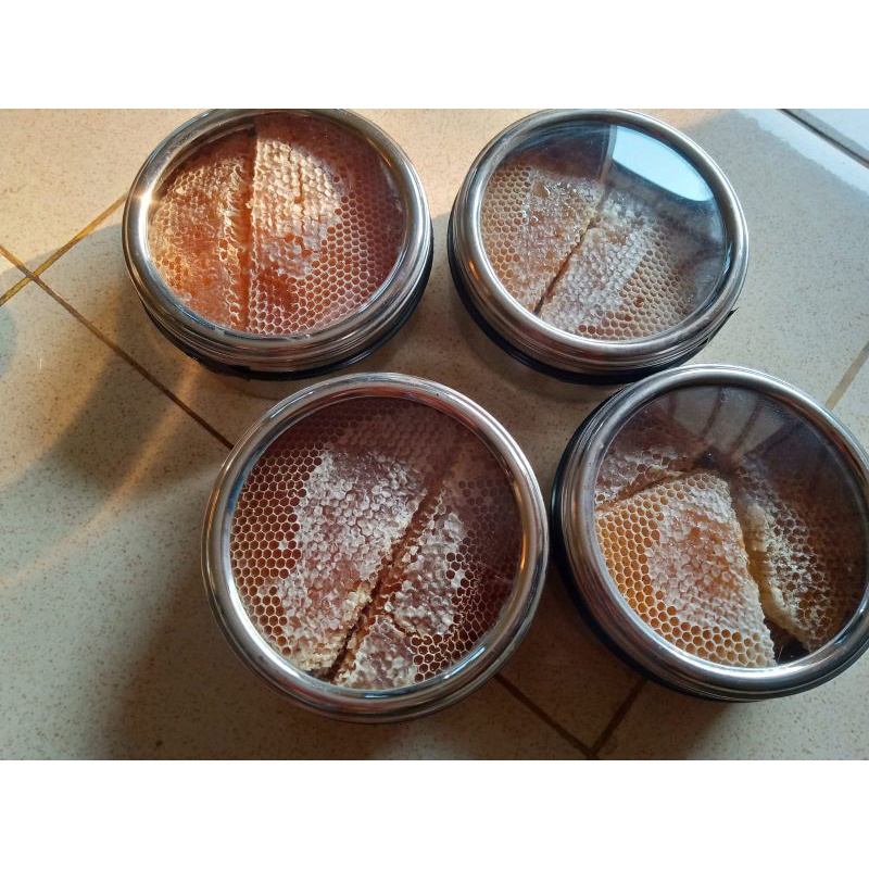 

sarang madu sidr bagyah dau'an