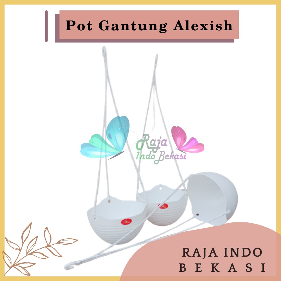 Pot Bunga Gantung Alexish 20 Putih Mirip Pot Gantung Gentong Lovenia Pot Gantung Putih Anggrek Tinggi Lion star