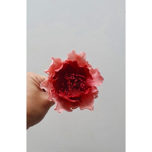 

anemone gradasi / gumpaste flower / hiasan kue cake / cake topper
