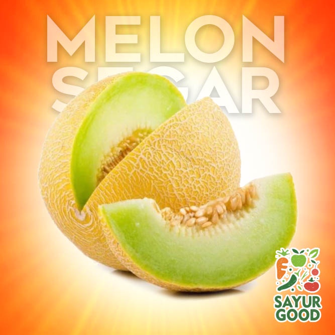 

Melon Segar / Buah Melon Hijau / Buah Melon Hijau Segar / 1 Buah