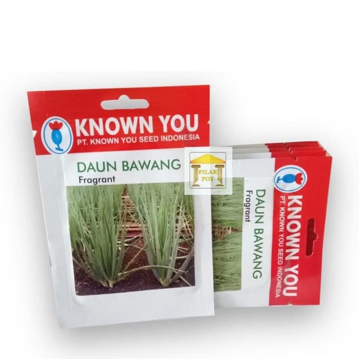 

Dijual benih bibit daun bawang fragrant know you seed - kys Murah