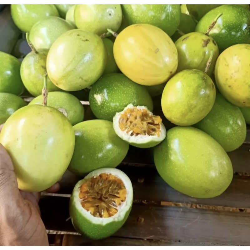 

buah markisa fresh 1kg Hasil Kebun Sendiri