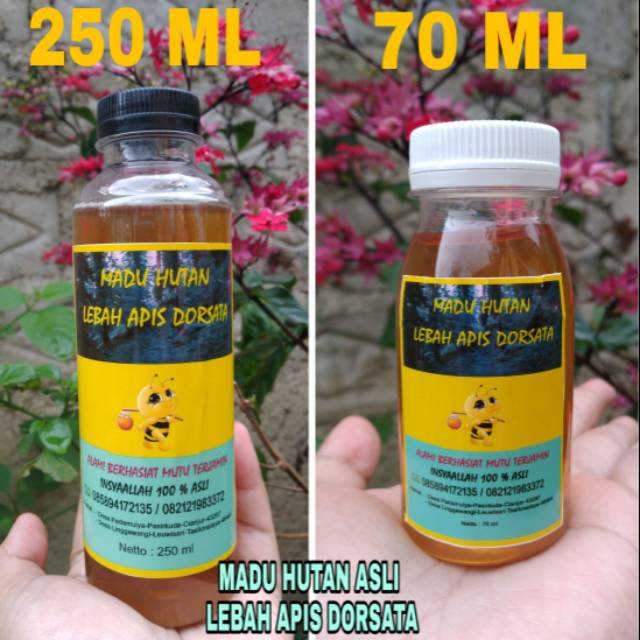 

Madu murni
