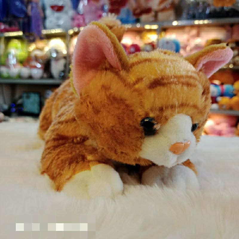 Boneka Kucing Lucu Boneka Import Plush Doll Lucu Hadiah Anak Boneka unik Boneka Kucing Unik Kado Anak Hadiah Ultah Boneka lucu