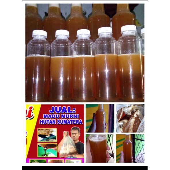 

Madu murni Multiflora sialang