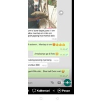 ➫ Essen Ganas - Essen ikan mas ganas aroma wangi amis cocok segala jeni umpan - RED GANAS - BLUE GAN