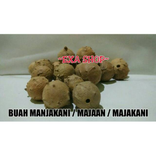 

Buah Manjakani / Majaan / Majakani 500 gram