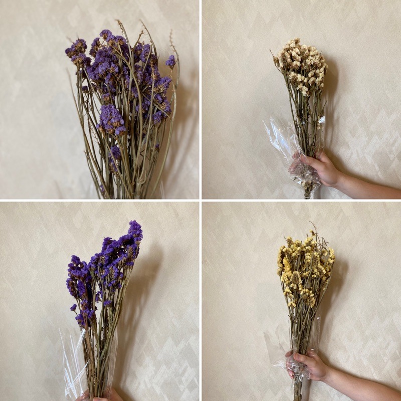 BUNGA KERING STATICE IMPORT