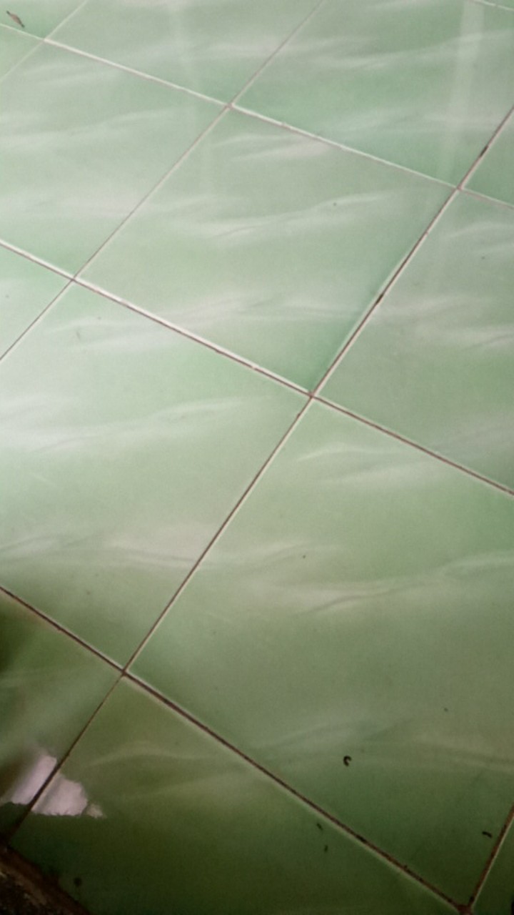 Timbangan Duduk 5 Kg 10 Kg 15 Kg 20 Kg - Five Goats Scale - Timbangan Duduk - Timbangan Five Goats