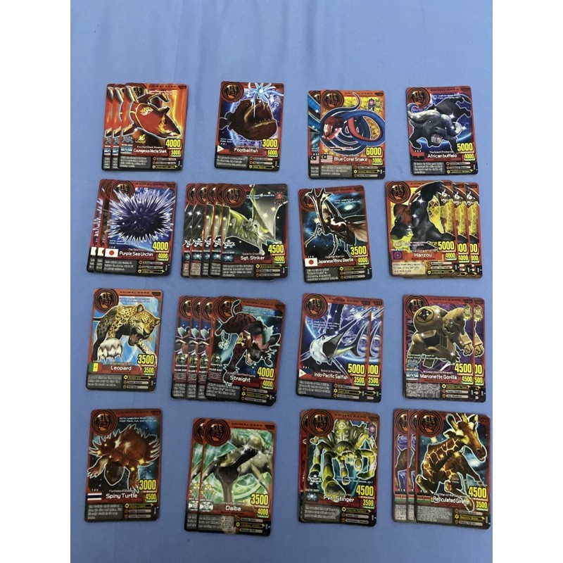 kartu animal kaiser basic card (animal card)