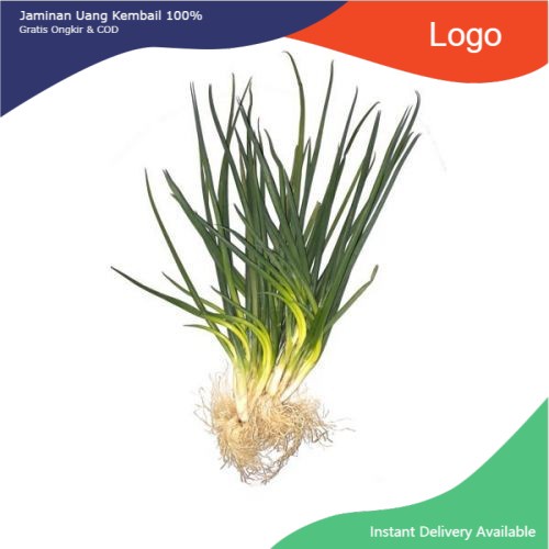 

FCW - Daun Bawang Kecil / Daun Bawang Cung 250 Gram