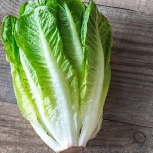 

Lettuce Romain 500gr