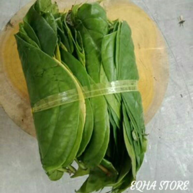 daun sirih asli &amp; segar 1 ikat besar