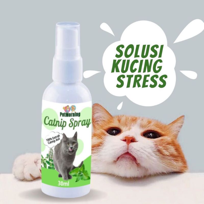 catnip spray anti stres kucing 30 ml