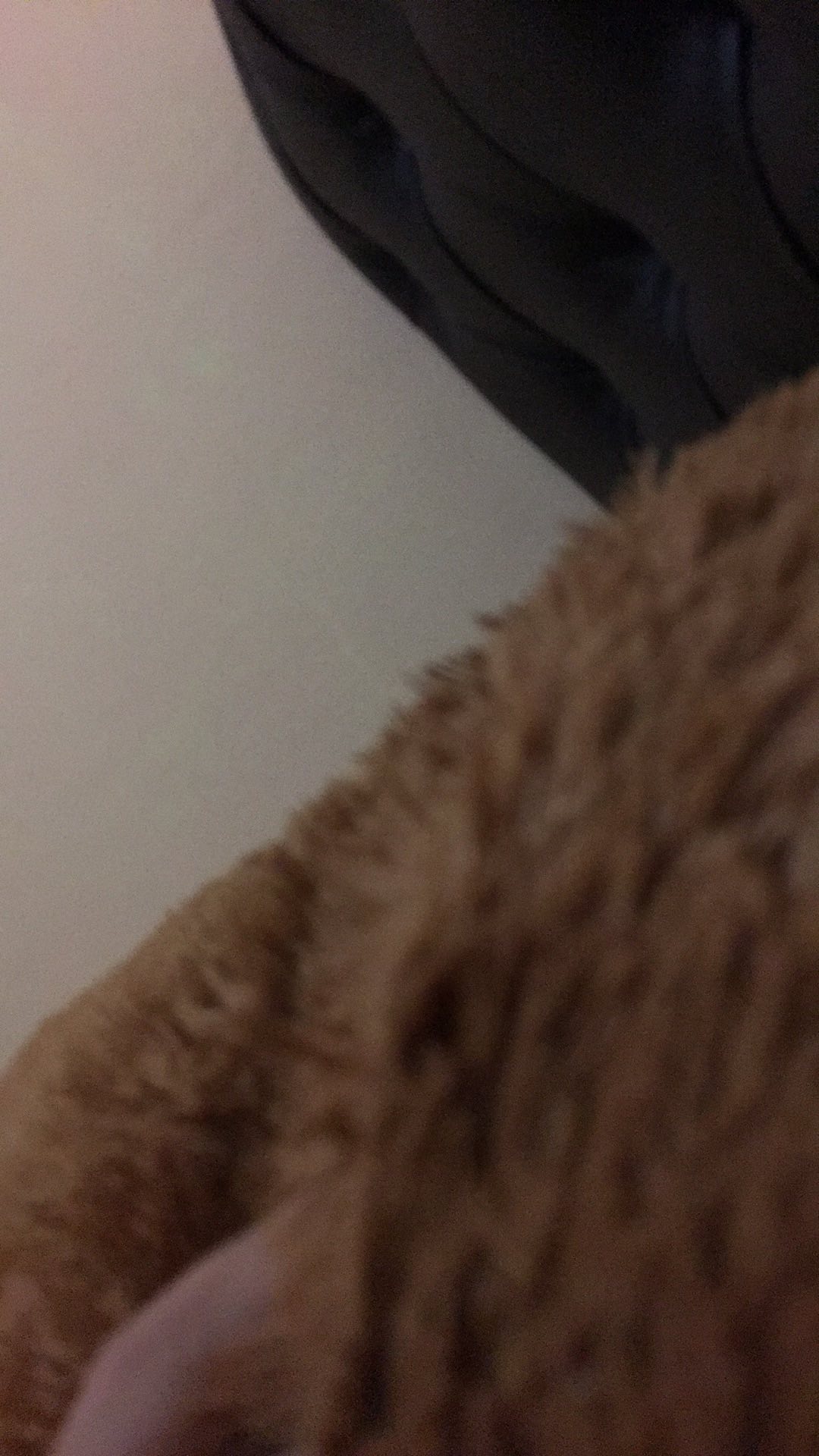 Sarung Tangan Anti Panas Sarung Tangan Masak Sarung Tangan Dapur Oven