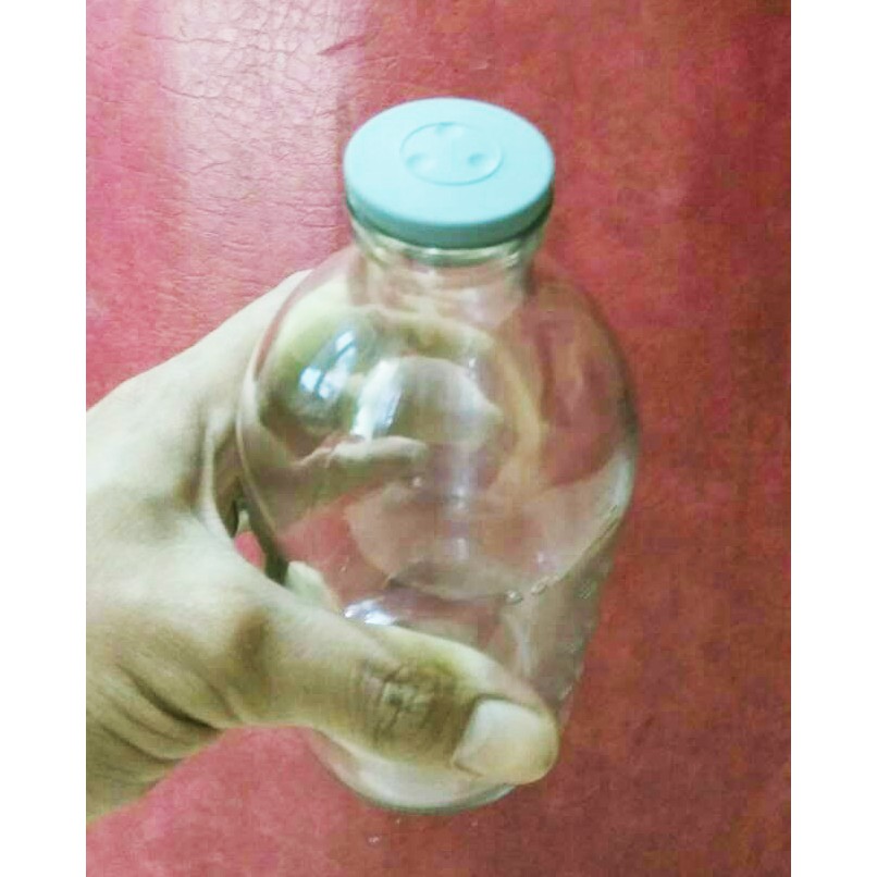 Botol Kaca ASI ASIP Vial 500 ml / Kaca Beling / Botol Susu