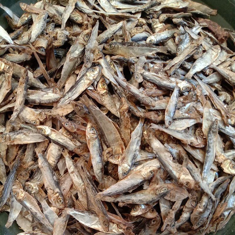 

ikan asin Teri