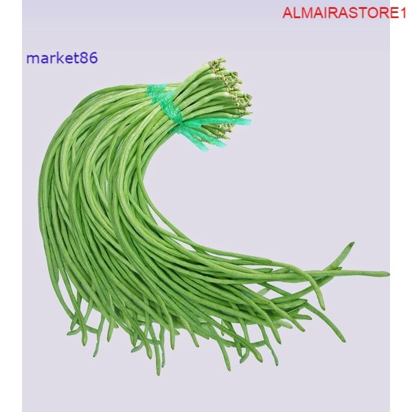 

Grosir Sayuran Segar Sayur FRESH Kacang Panjang 250 Gram - Market86
