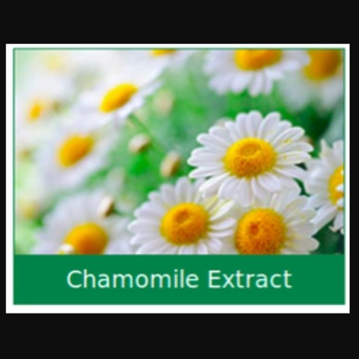 

Chamomile Extract Liquid 50 Ml/Ekstrak Chamomile