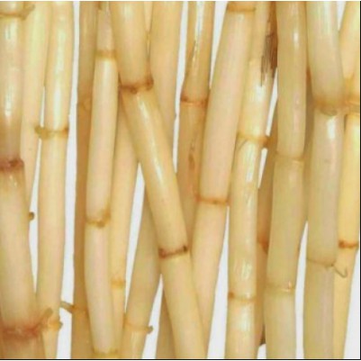 

Akar Alang Alang Segar 250 gr