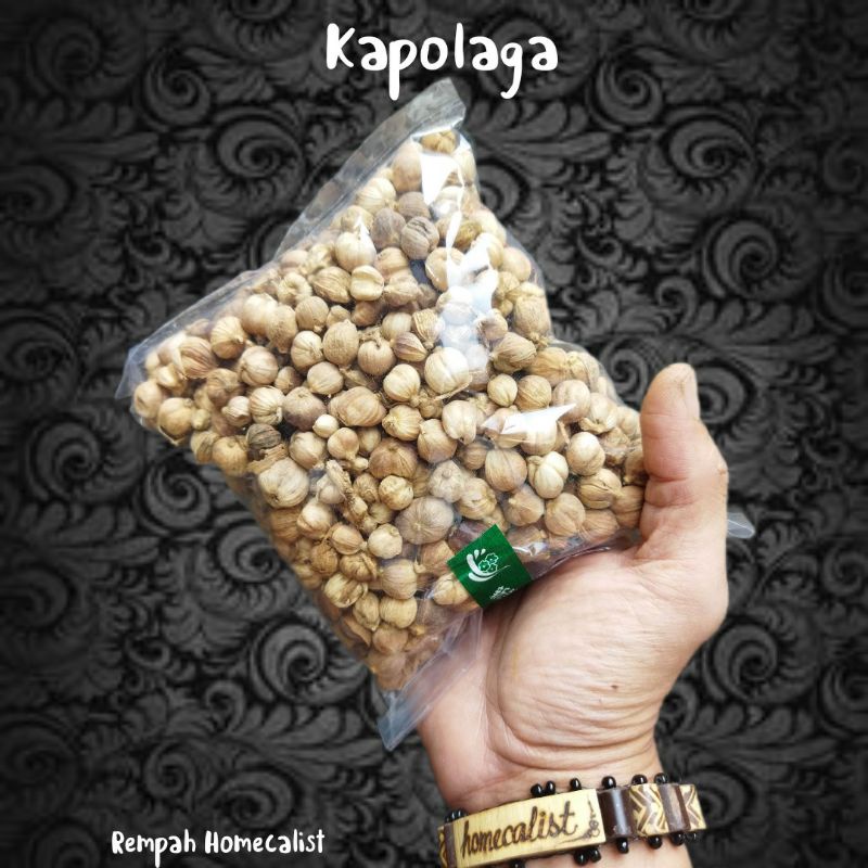 Kapulaga / Kapolaga / Kapol Jawa