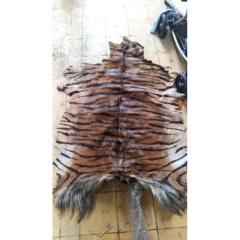 kulit kambing motif harimau loreng