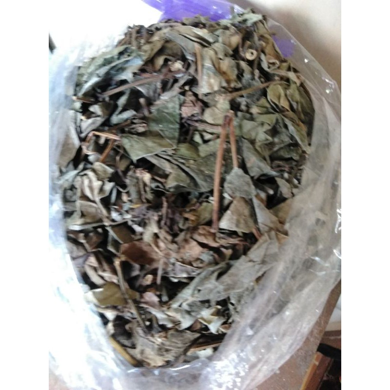 

daun sirih hijau kering 500gr