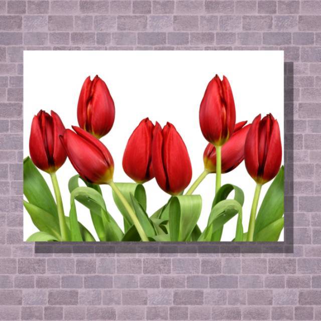 Walldecor Hiasan Dinding Shabby Motif Bunga Tulip 2 Size 22x30cm
