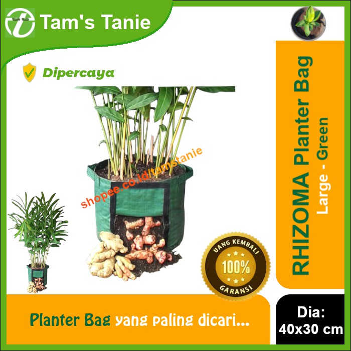 Rhizoma Planter Bag Green - Large