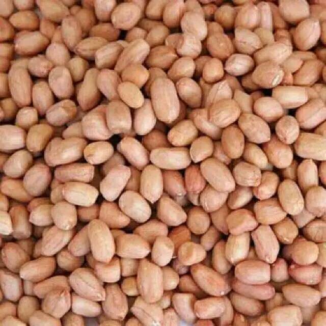 

Kacang tanah kering mentah peanuts