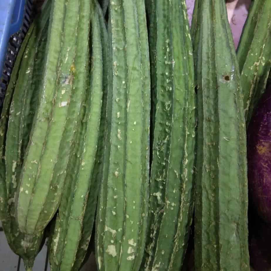 

Oyong - 0,5 kg