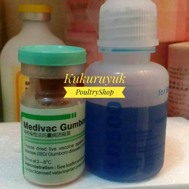 Vaksinasi Vaksin Ayam Gumboro A Dosis 500 Ekor Ayam Shopee Indonesia