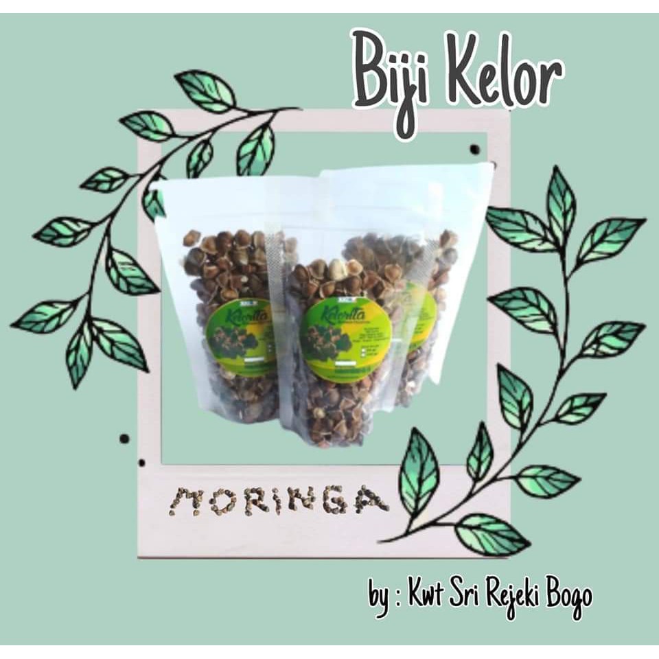 

Biji Kelor 100gr/ kelorita