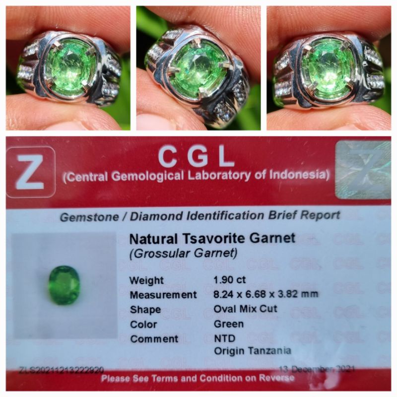 Natural Tsavorite Green Garnet Memo 1.90 crt