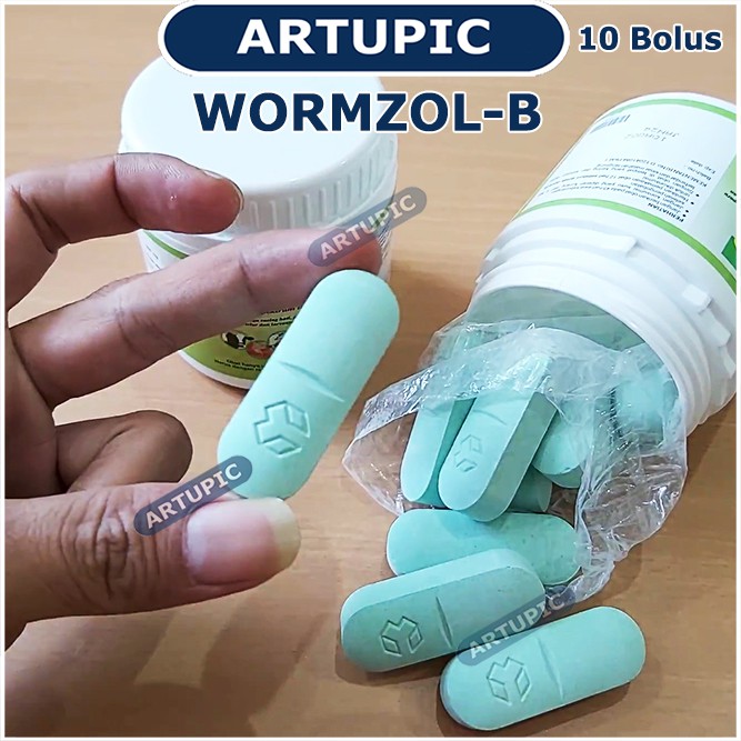 Wormzol Bolus 1 Pot isi 10 Bolus Obat Cacing Cacingan Pita Sapi Kerbau Kuda Kurus Wormzol-B