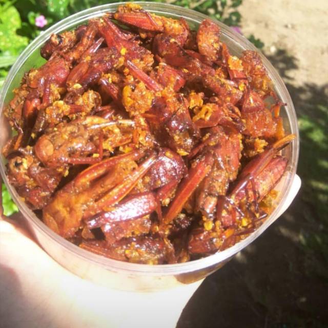 

Walang goreng SUPER Kemasan Toples 500 ml / Berat 100 gr.