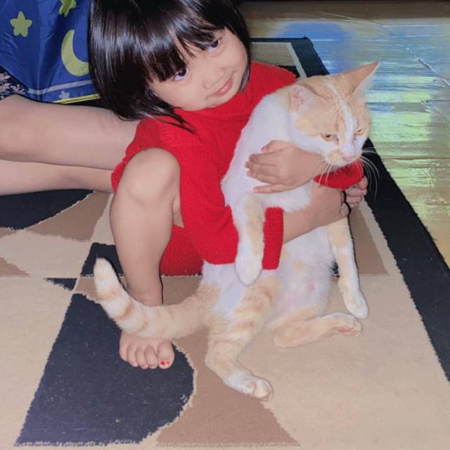 noviyantmikasari